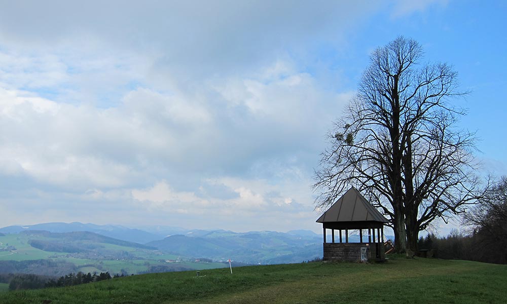 wiesenwienerwald